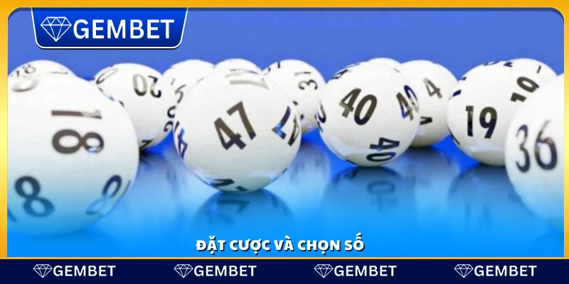 Cách thức đặt cược và lựa chọn số
